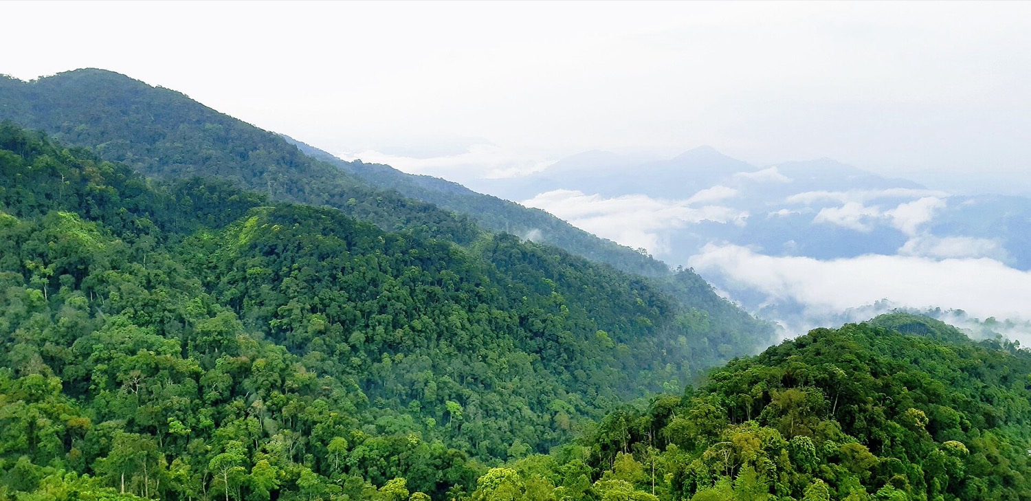 Phố cổ, thánh đường và thành phố trên mây.